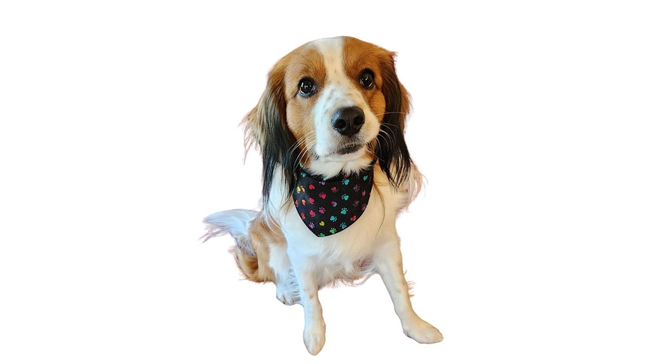 Dog Bandanas