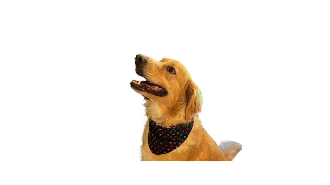 Dog Bandanas
